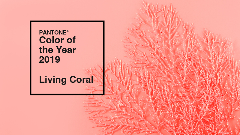 Pantone Color of The Year 2019: Living Coral