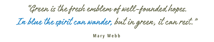 Mary Webb Quote