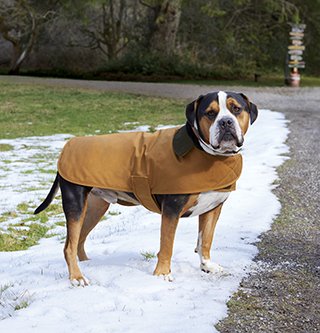 Dog Chore Coat
