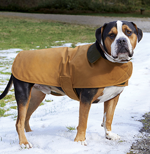 Carhartt Dog Chore Coat